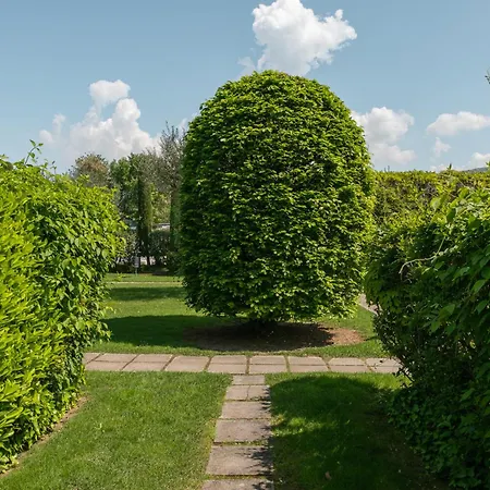 Patio 15